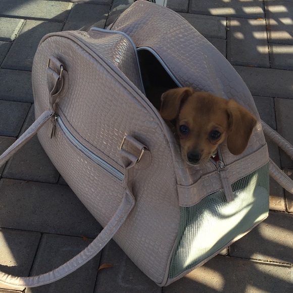 petco dog carrier bags